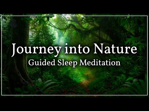 A Guided Sleep Visualization Exercise: The Magical Forest Walk