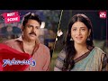 Pawan Kalyan S Cute Proposal To Shruti Haasan Telugu Katamarayudu Shruti Haasan SUNNXT
