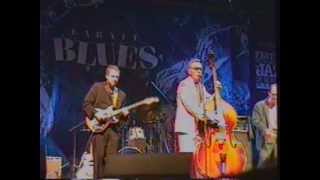 Stephen Barry Band - Tumblin' & Rollin' sur la scène de Blues le 05 juillet 1996