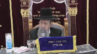 הרב בן ציון מוצפי • בית הכנסת סודאי שידור חי