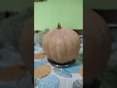PT7CIA CÍCERO AMORIM JUAZEIRO DO NORTE CEARÁ