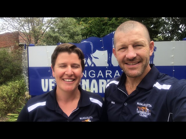 Wangaratta Veterinary Clinic - Wangaratta, VIC