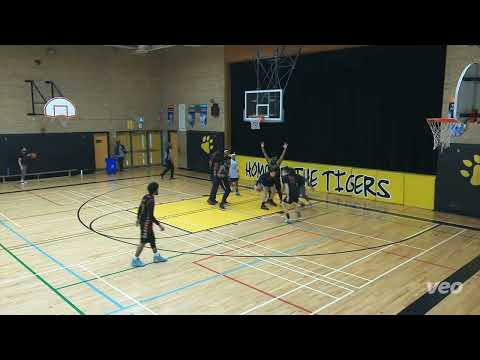 MnL(114) Tier 5 - 2023 SPRING Icon(61) - tcbl saturday