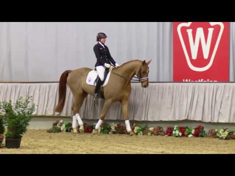 31  Big Ben Wallach v. Belissimo M - Damon Hill