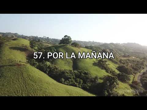 Por la mañana, oh Señor, elevo a ti mi voz - Himno #5