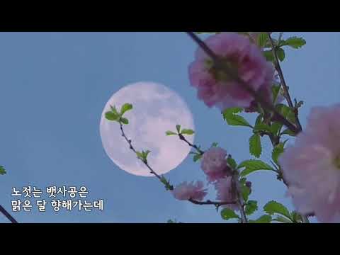 바보 - 바리톤 박흥우 / 피아노 길주향