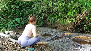 Interesting Fishing in Lakes and Rivers, Young Girl's Fishing Catching a Lots of Fish | Nana Fishing