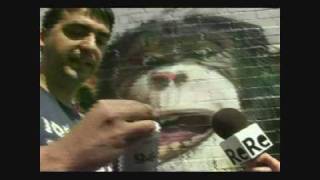 Reportaje de Graffiti en Televisión
