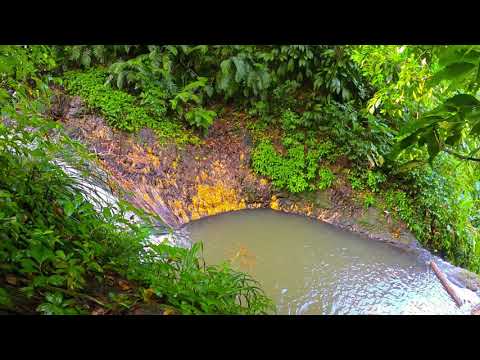 Exploring Rainbow Falls Grenada