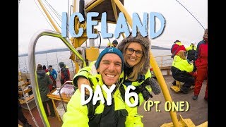 WHALE WATCHING IN ICELAND AND TRYING ROTTEN SHARK! PART 1.