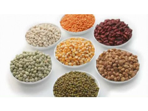 How to Lose Weight on a Raw Food Diet | Diet Plans