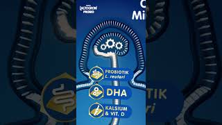 Download lagu Perut Selesa Cergas Mindanya! mp3