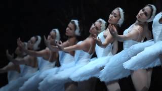 Le Lac des cygnes, Saint-Pétersbourg Ballet Théâtre
