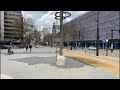 En zo ziet de nieuwe Coolsingel er uit