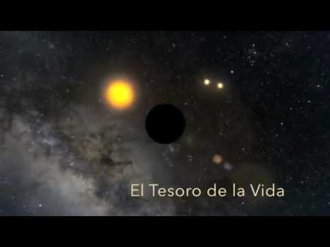 Vídeo: Frases 90 Anos: perguntas e respostas