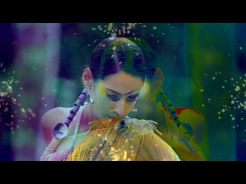 Vangelis / Dervish D