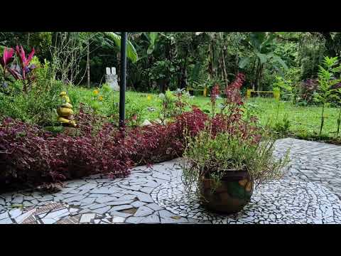 QUAL O PECADO DO REI JEROBOÃO que  fez com que apenas uma pessoa de sua familia salvar-se!