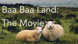 Baa Baa Land | The Movie | 8-Hour Slow-Motion Film