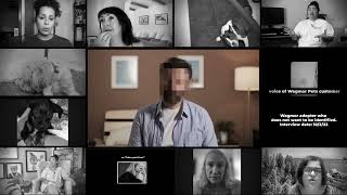 Wagmor Pets Victim Stories & Testimony