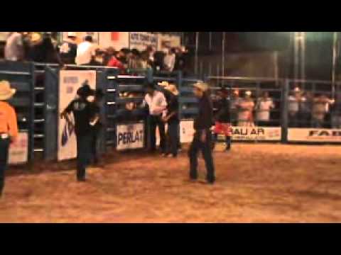 Paraíso Fiscal x Cosme Antônio