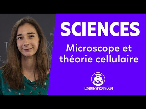 Microscope et théorie cellulaire