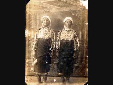 Crenguța de iederă / Ivy little branch