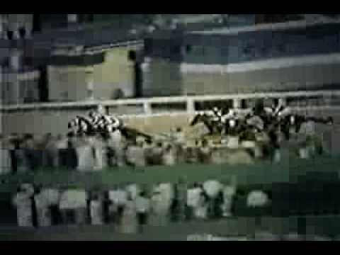 Secretariat - Preakness 1973