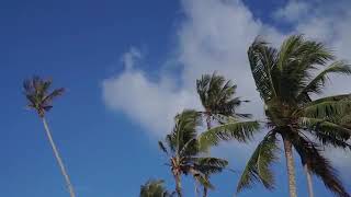 Download lagu Seventeen_ KEMARIN Cover dari Moza mp3