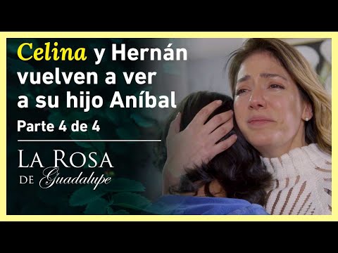 La Rosa de Guadalupe 4/4: Celina descubre que Paco es su hijo | Regalo de Reyes