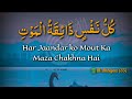 Quran WhatsApp Status 109 Al Anbiyaa 35 Madrasa Maariful Qur An