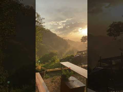 Schwarzwaldhaus 1902