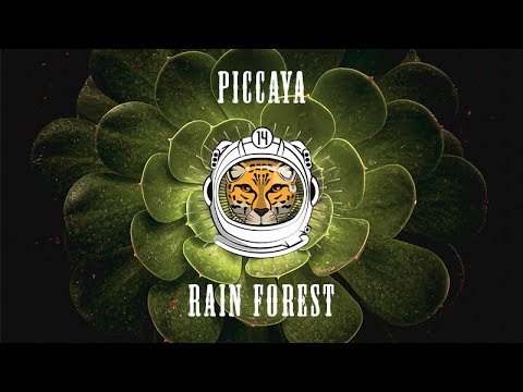 RAIN FOREST (Organic Downtempo)