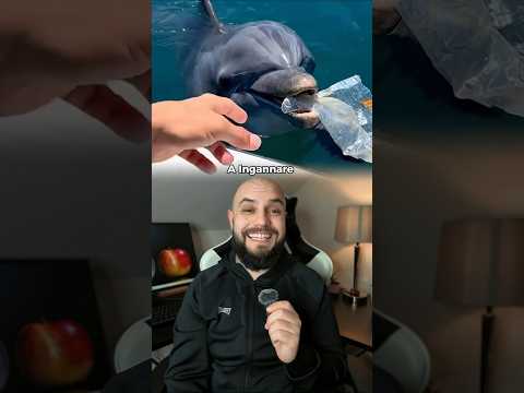 Il primo delfino imprenditore della storia 🐬💰#tecnologia #innovazione #futuro #scienza #natura
