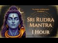 Powerful 1 Hour Rudra Mantra Chanting Lord Shiva S Divine Blessings Spiritual Awakening