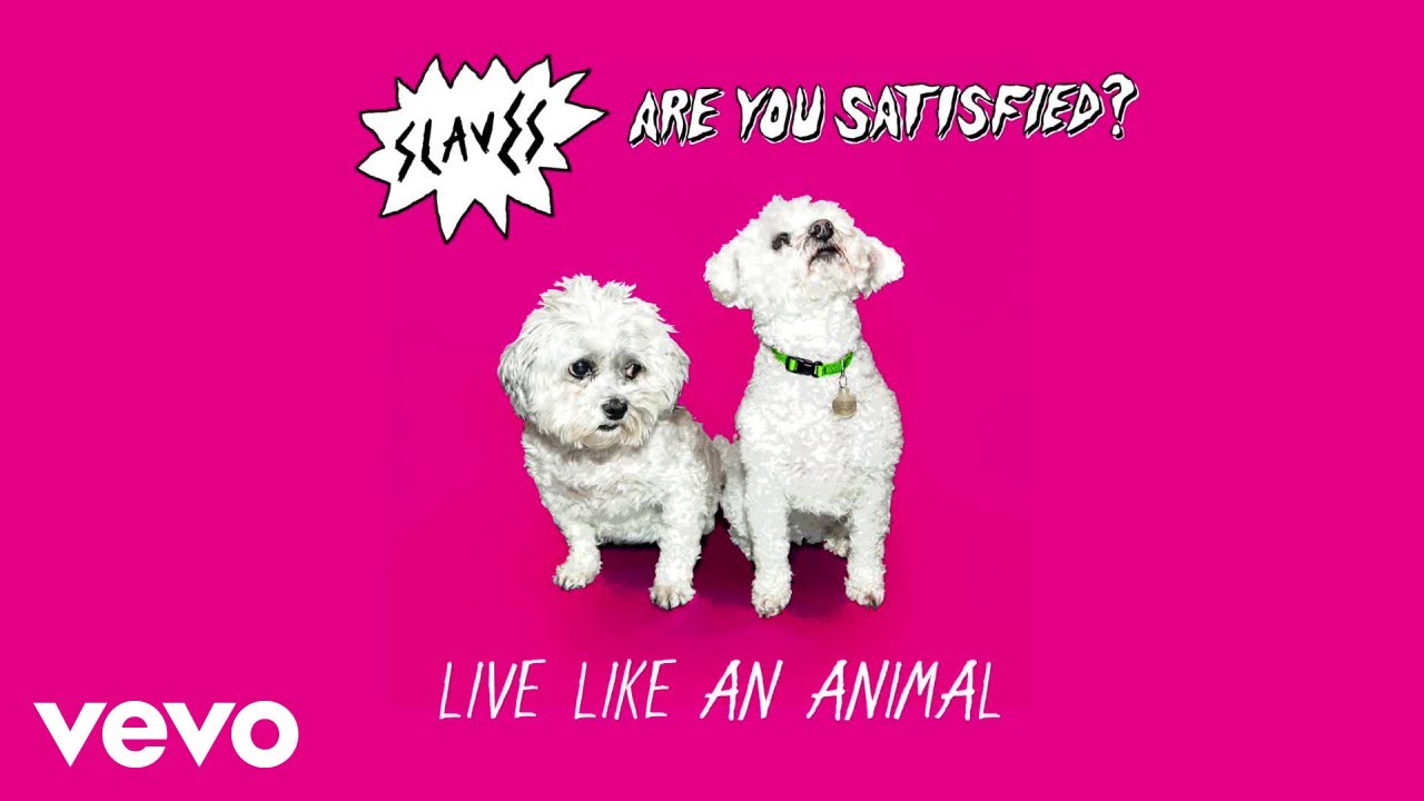Are you satisfying. Are you satisfied? marina and the diamonds. Making suggestions. Are you satisfied marina. Slaves обложки альбомов.
