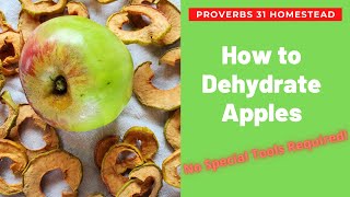 How to Dehydrate Apple Slices - no special tools required!