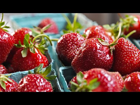 image-When was the strawberry first discovered?