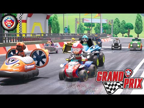 PAW PATROL: GRAND PRIX 🏁🏎🐶🧒 Funny Competition FHD