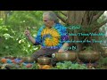 Quick 11 min Chakra Tune Up by the Redwood Tree ~ w/Spinning Bowls