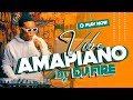 AMAPIANO VIBE BY DJ FIRE [ OFFICIAL VIDEO ]