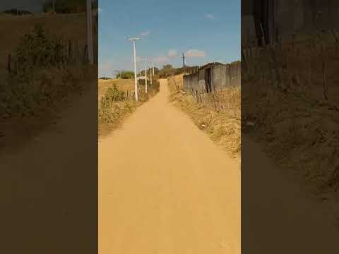 área rural de palmeira dos índios Alagoas