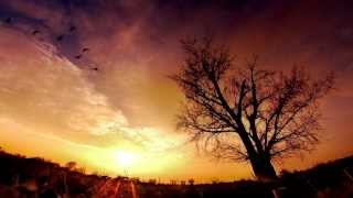 Alcest - Délivrance