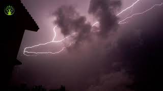 CHUVA NO TELHADO com Raios e Troves para aproveitar bem a noite de sono (Som de chuva para dormir)