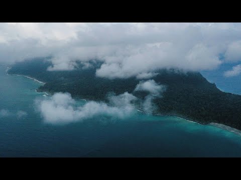 Gorgona - von der Gefangeneninsel zum Naturparadies | AFP