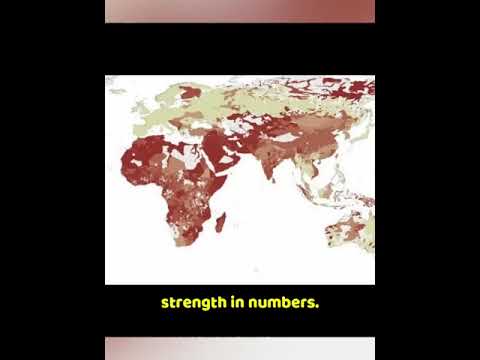 How Shame Drives Society #shorts