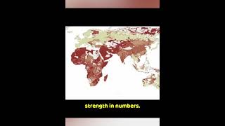 How Shame Drives Society #shorts