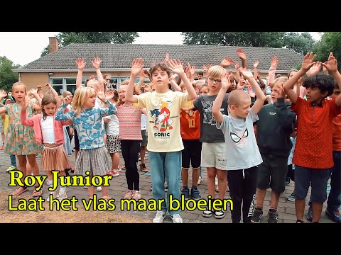 Roy Junior  - Laat het vlas maar bloeien