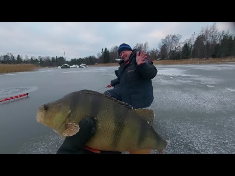 Kolmas kerta toden sanoo vai sanooko 👀 | Kuhajulli, Koomikko ja Artoboy ahvenen perässä 🐟🐟