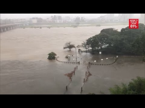 TYPHOON HAGIBIS: Rivers start overflowing in Tokyo and surrounding prefectures