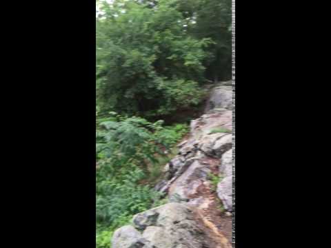 North loop scenery at the overlook